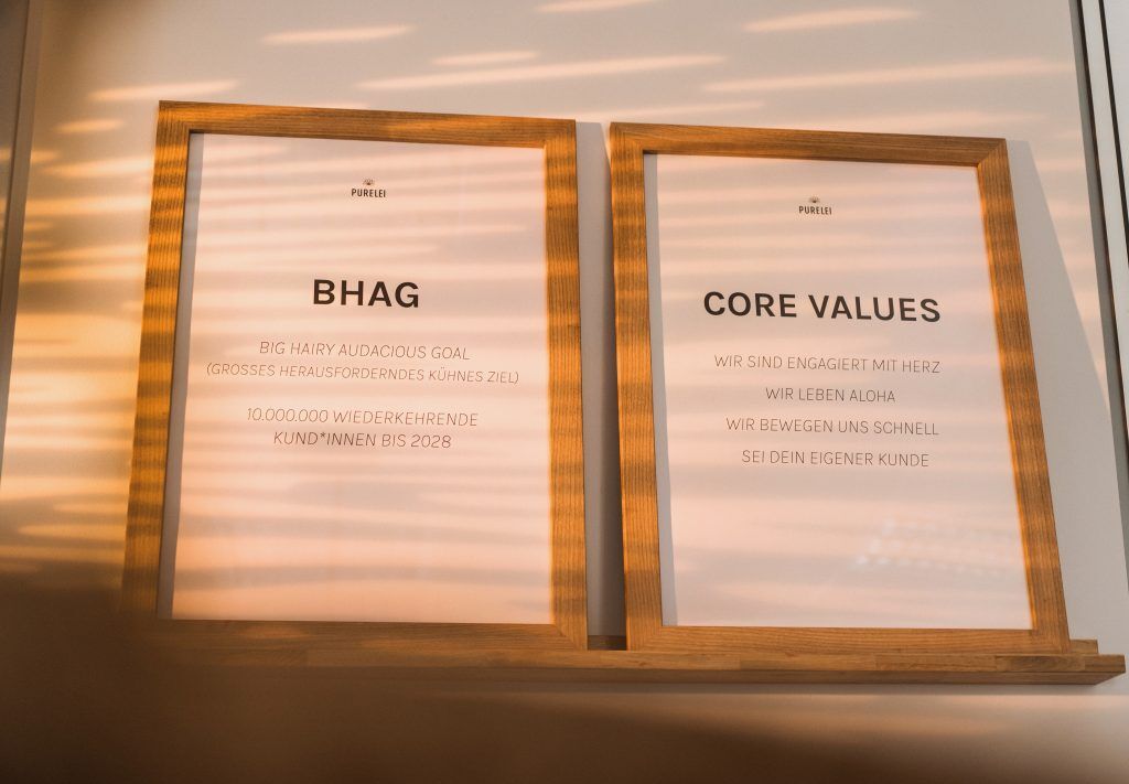 PURELEI BHAG und Core Values