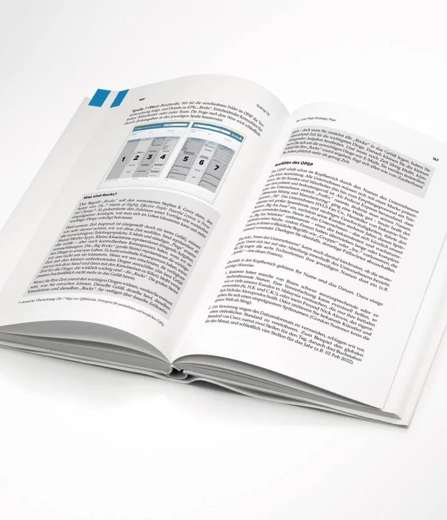 look inside strategy scaling up