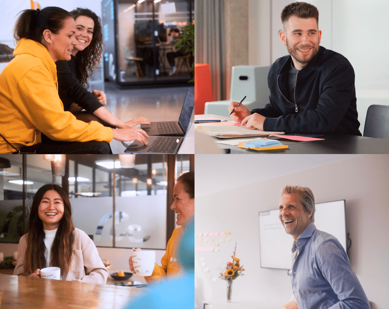 Collage scale up Erfolgsgeschichte