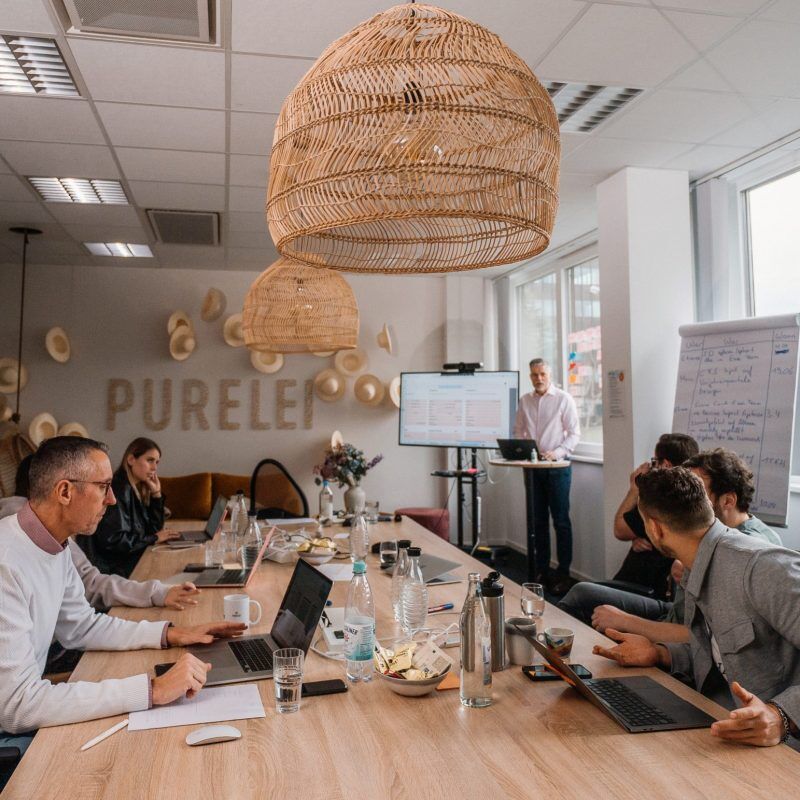 markus purelei workshop scale up